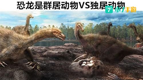 化石迅猛龙