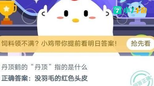 何须浅碧轻红色蚂蚁庄园