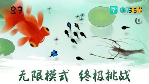 小蝌蚪视频2018年版下载